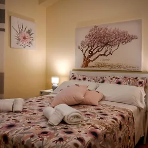  Bed and breakfast Balconcino Sugli Ulivi